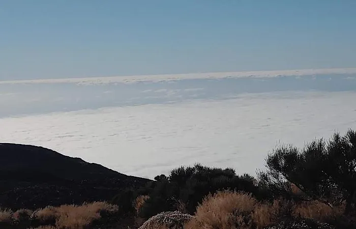 Vandrarhem Orotava *