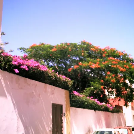 Vandrerhjem Orotava *