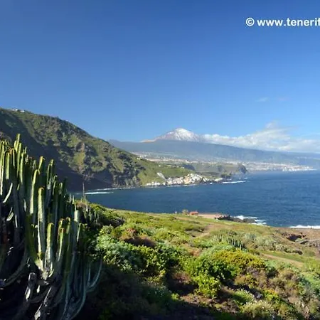Hostel Orotava