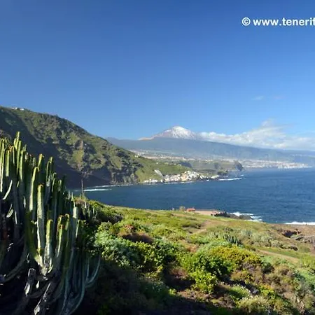 Hostel Orotava