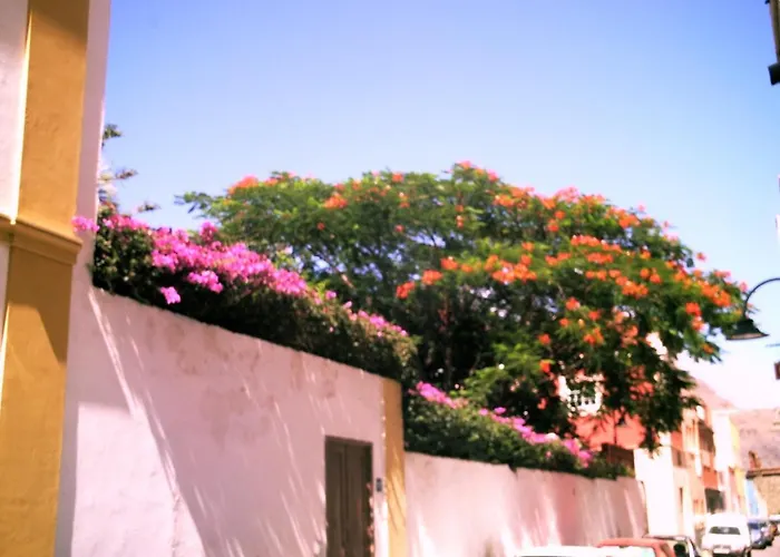 Vandrerhjem Orotava *